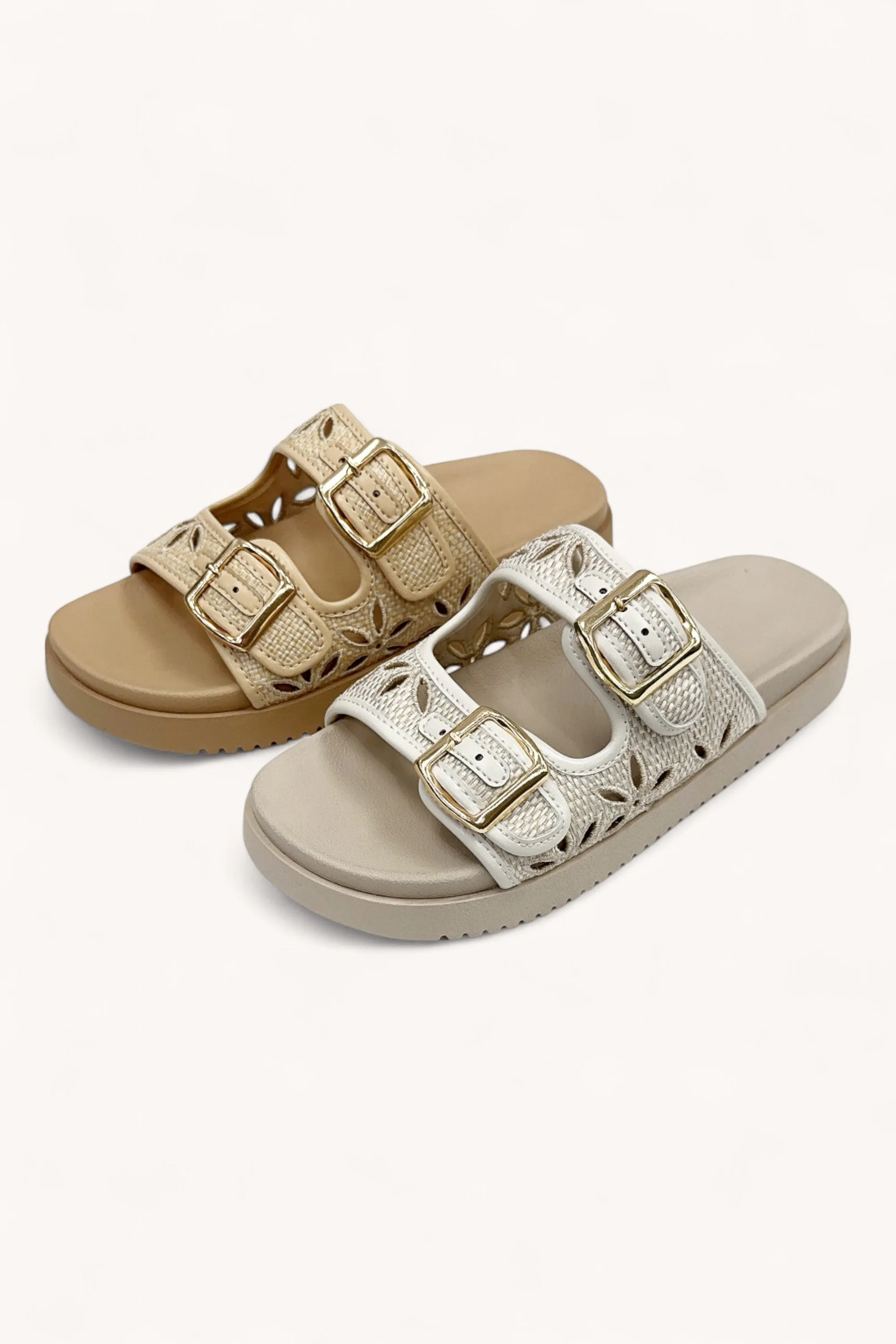 ALASKA-6 sold by CCOCCI product image thumbnail 2