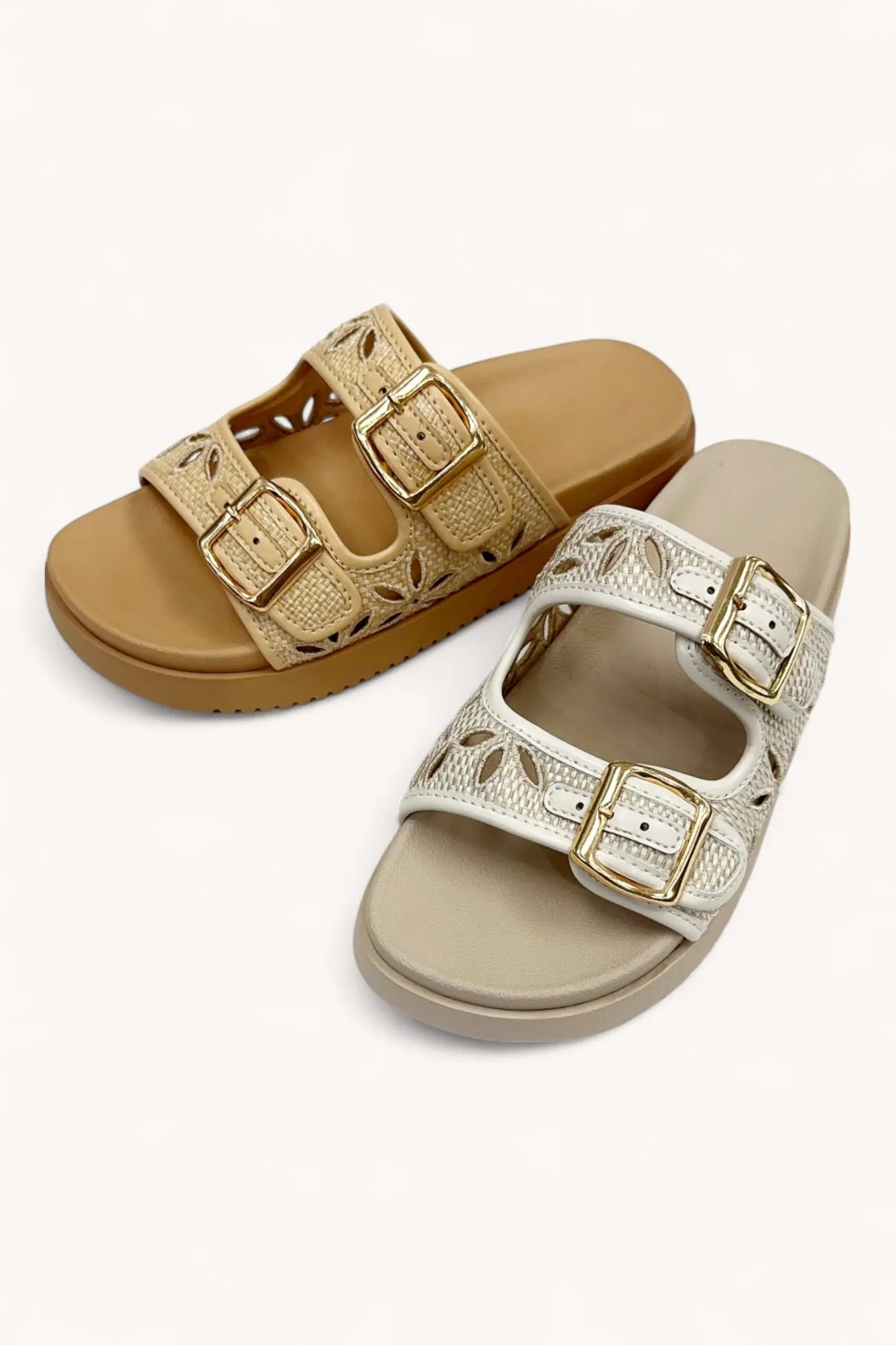 ALASKA-6 sold by CCOCCI product image thumbnail 4