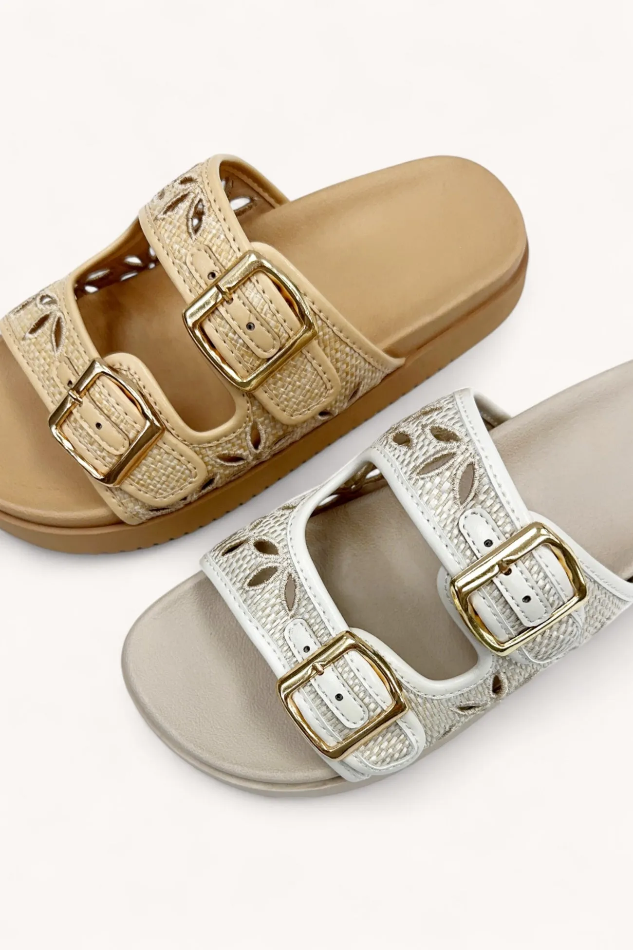 ALASKA-6 sold by CCOCCI