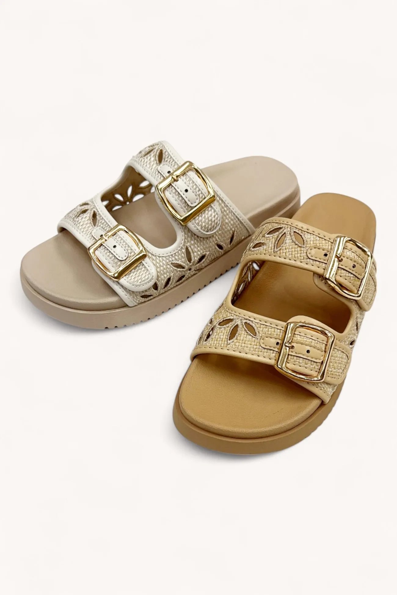 ALASKA-6 sold by CCOCCI product image thumbnail 5