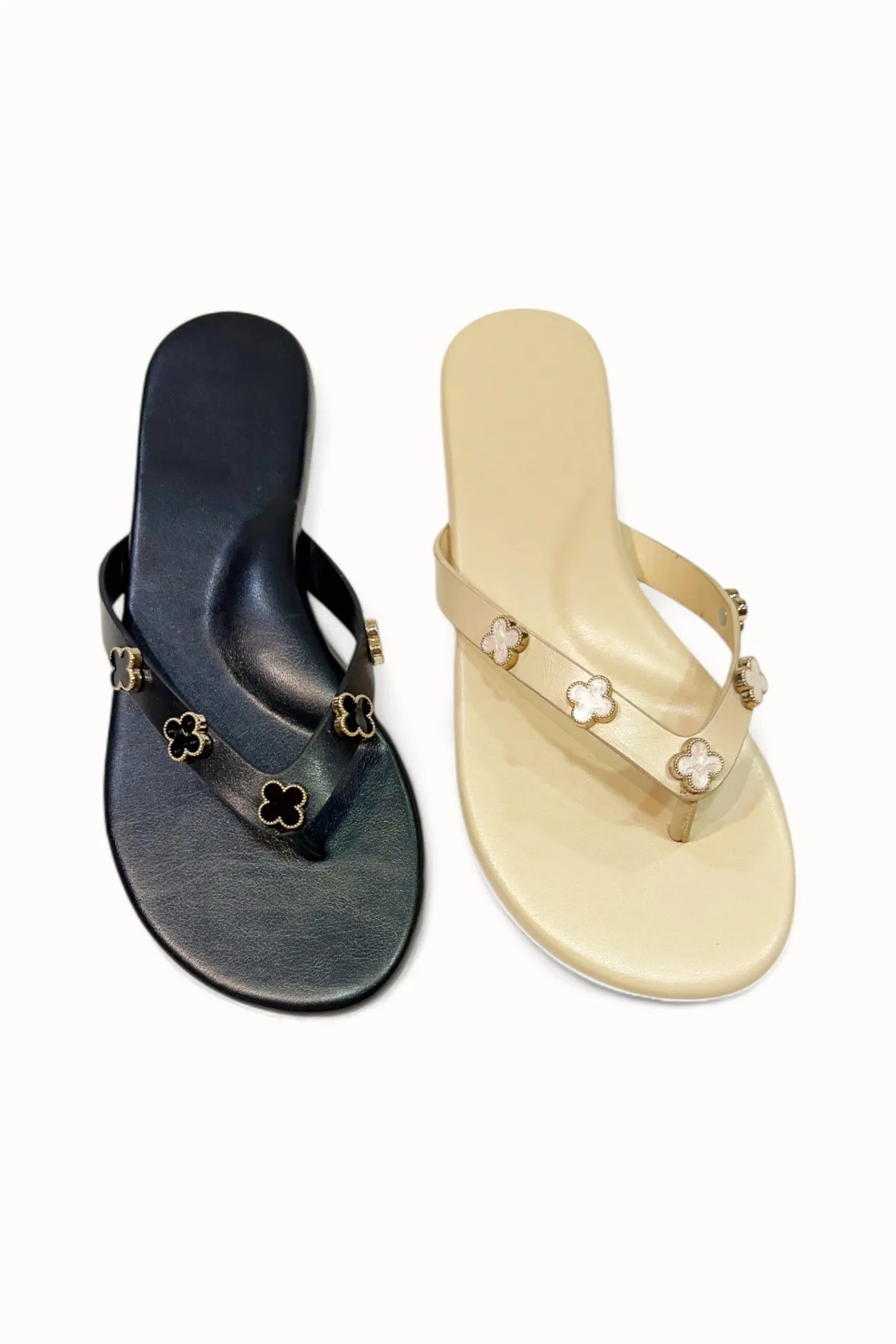 SQUISHY-18 sold by CCOCCI product image thumbnail 3