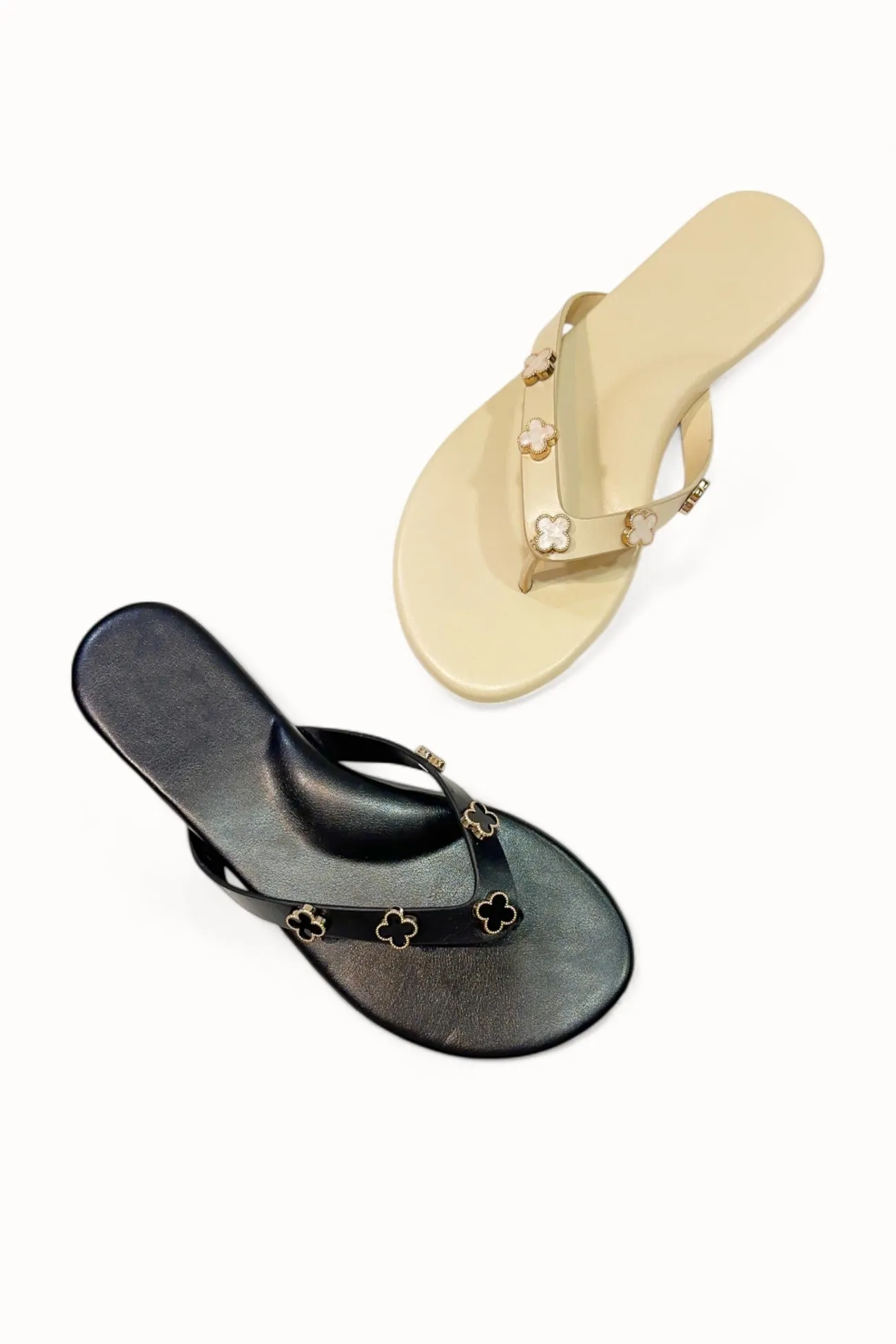 SQUISHY-18 sold by CCOCCI product image thumbnail 2