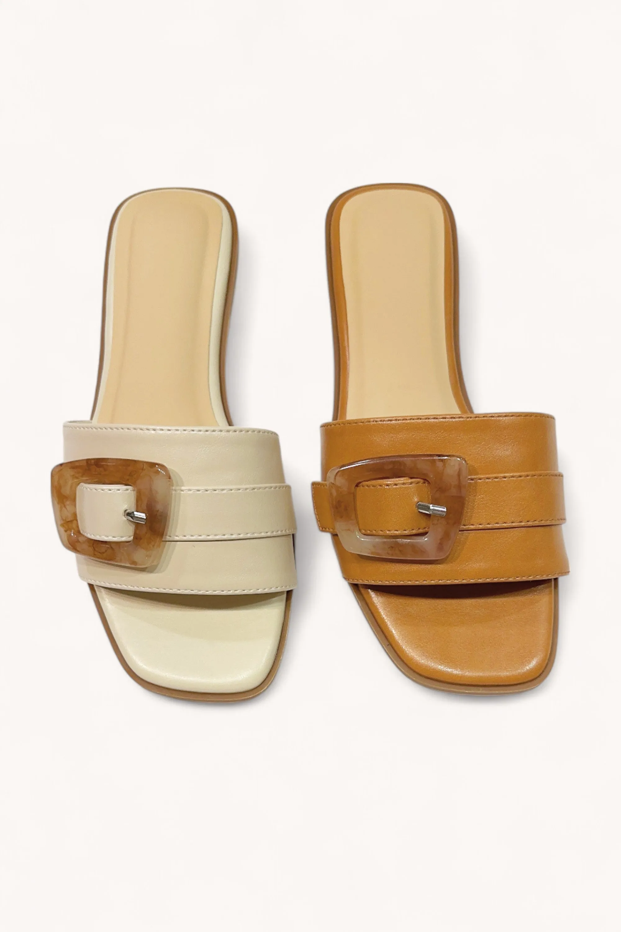 CONCEPT-86 sold by CCOCCI