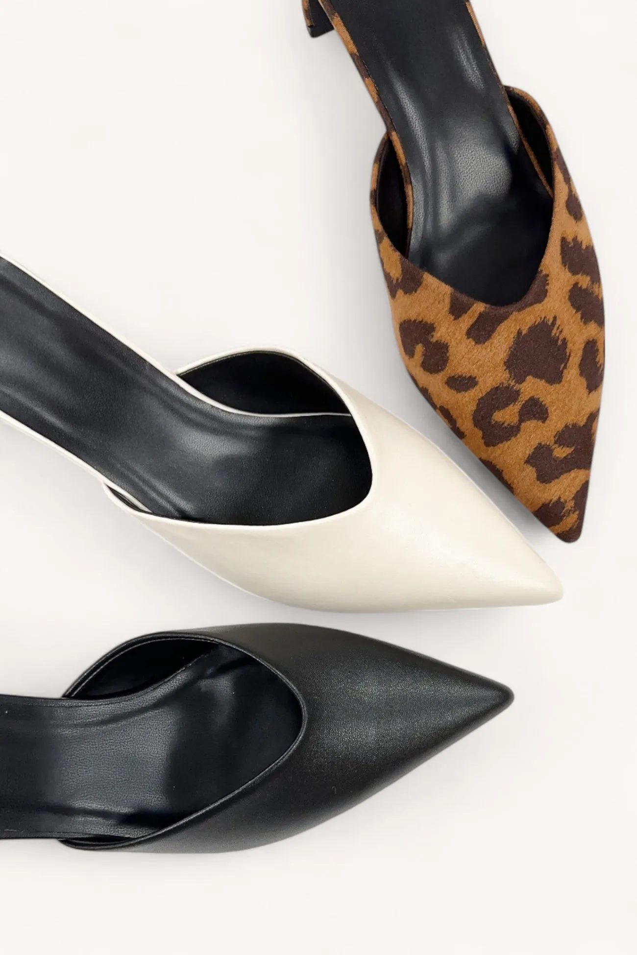 ADINA-01 sold by CCOCCI