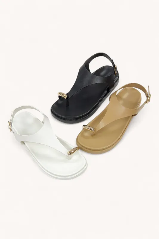 GIBSY-28 sold by CCOCCI