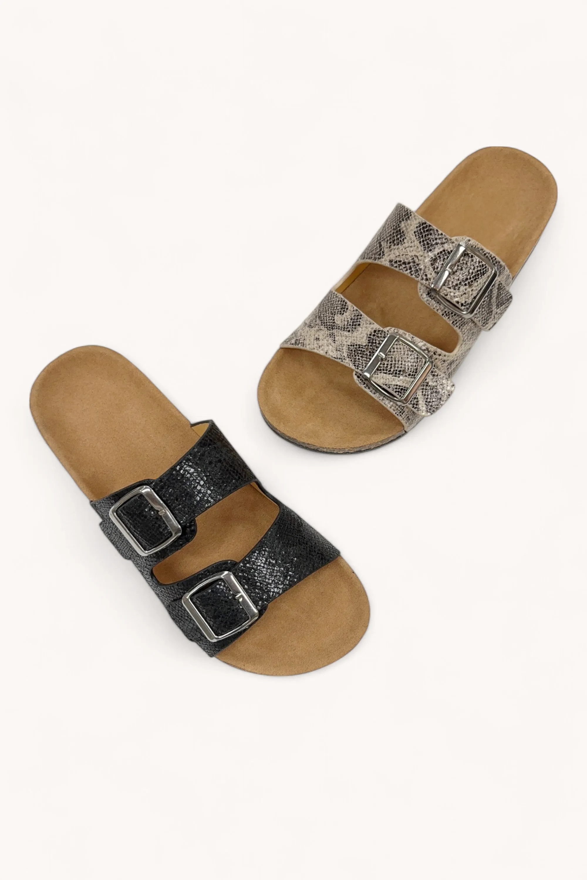 AUDRINA-06_A sold by CCOCCI product image thumbnail 2