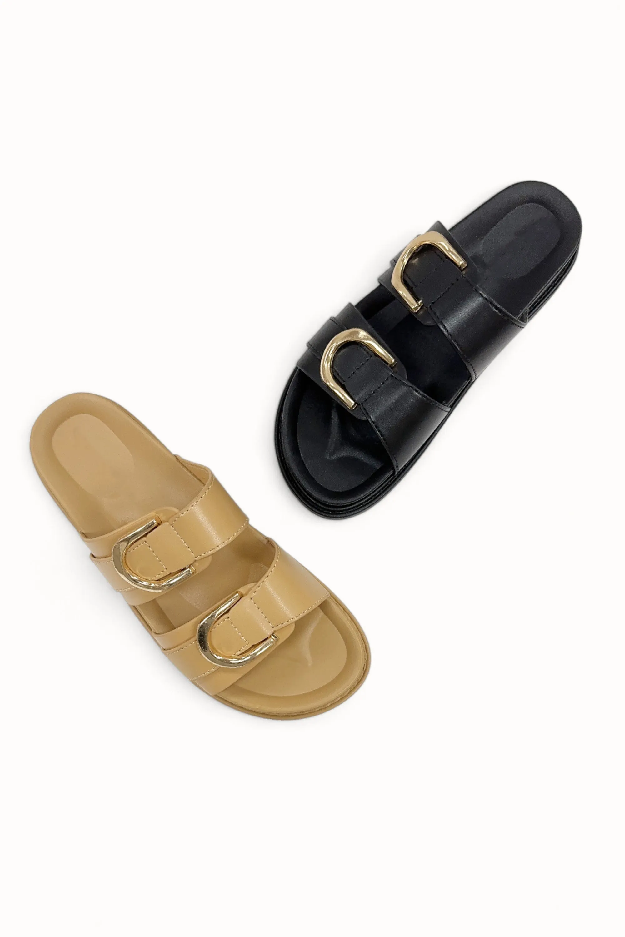 GINO-36 sold by CCOCCI product image thumbnail 2