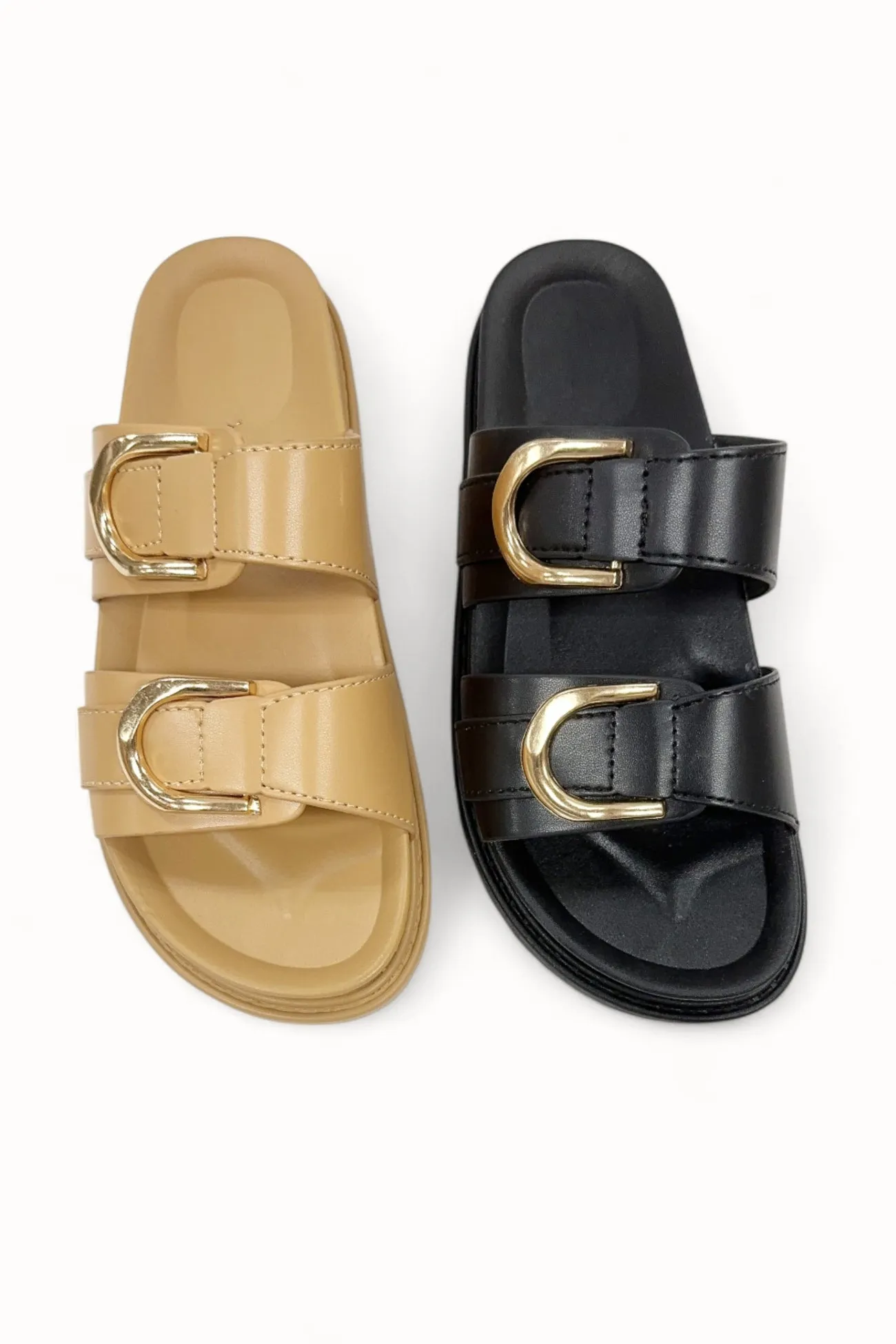 GINO-36 sold by CCOCCI product image thumbnail 3