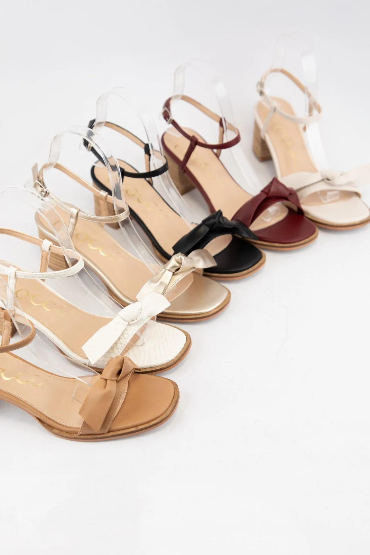 GALINA sold by CCOCCI