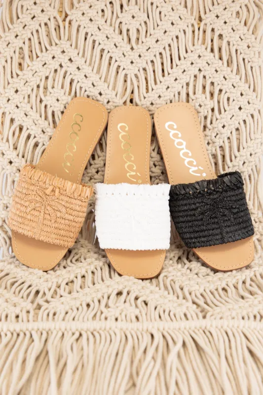 SANDY_W sold by CCOCCI