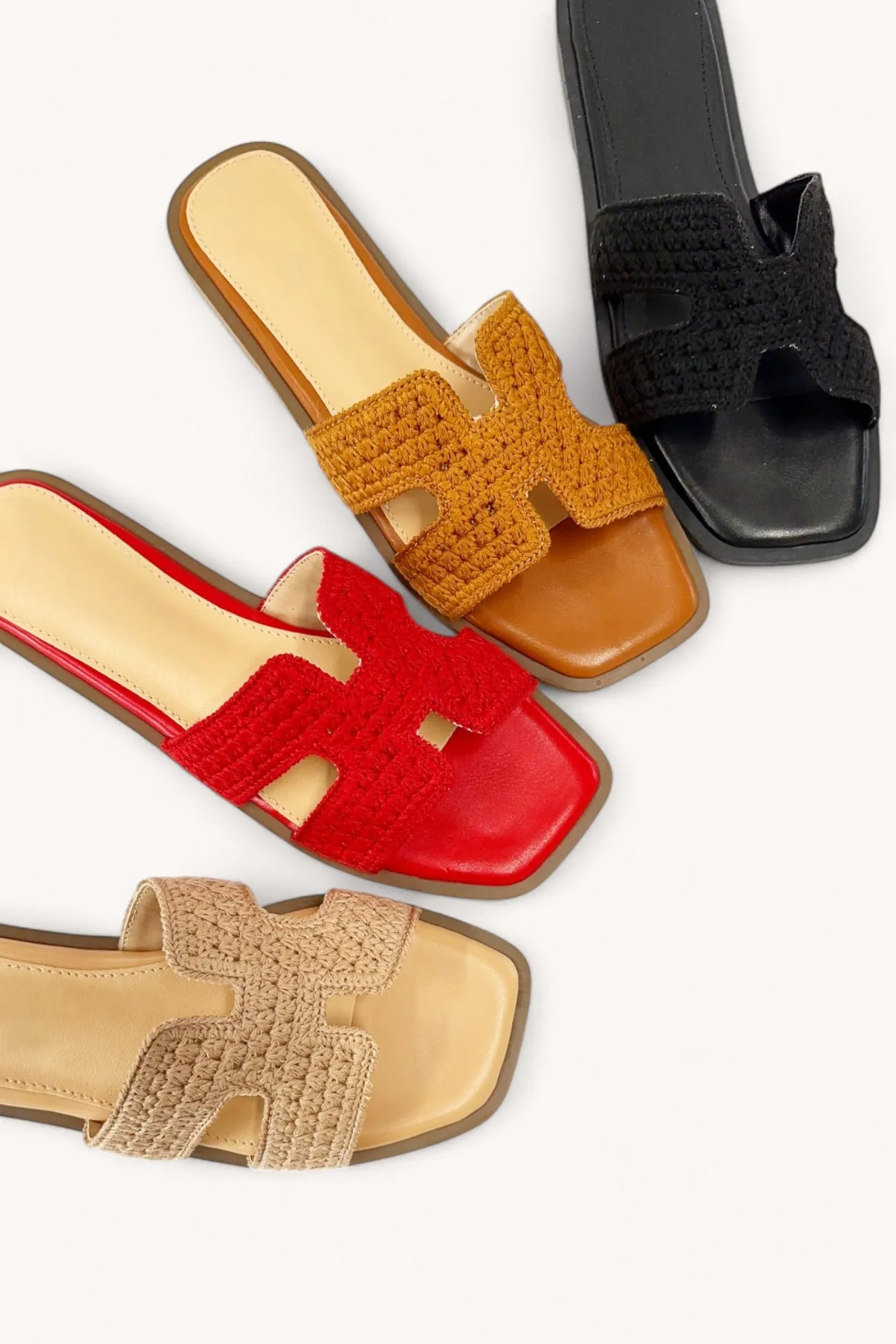 SOURCE-37 sold by CCOCCI