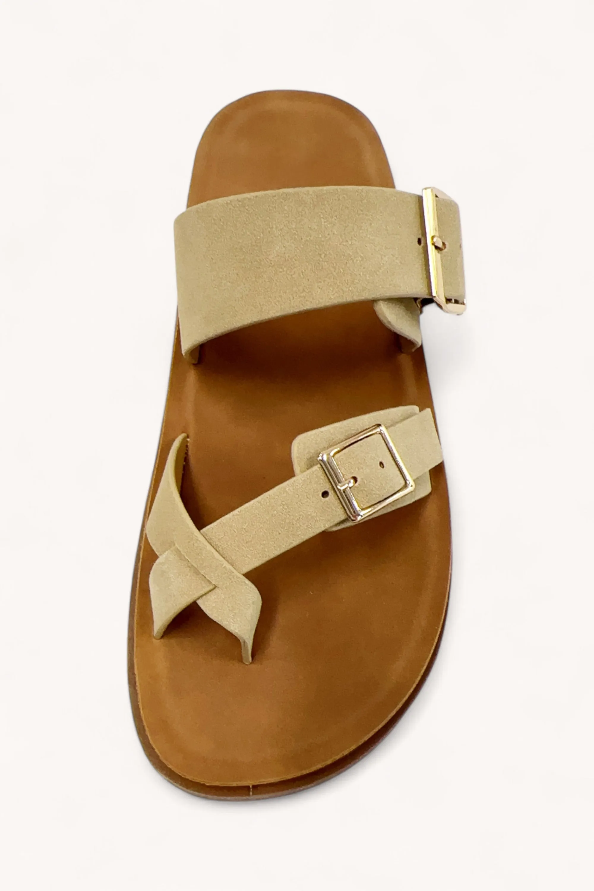 CICI-27 sold by CCOCCI product image thumbnail 2