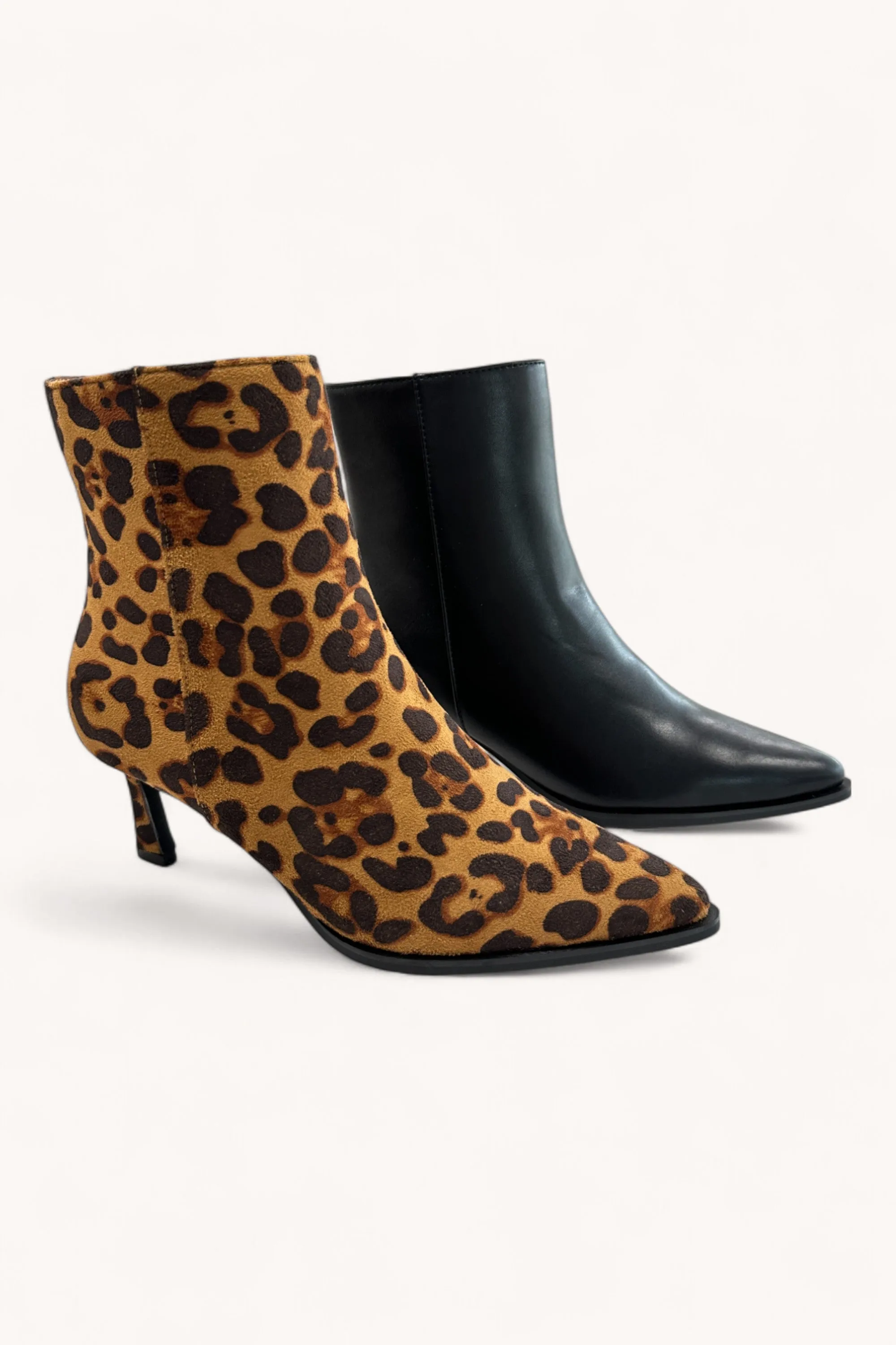 CABERNET-31 sold by CCOCCI