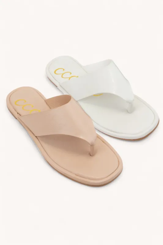 EZAR_W sold by CCOCCI