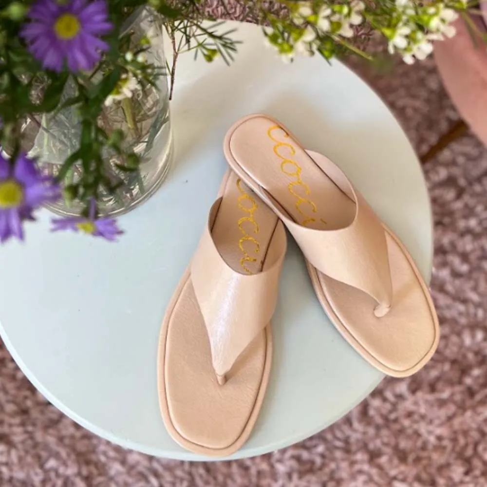 EZAR_W sold by CCOCCI product image thumbnail 5