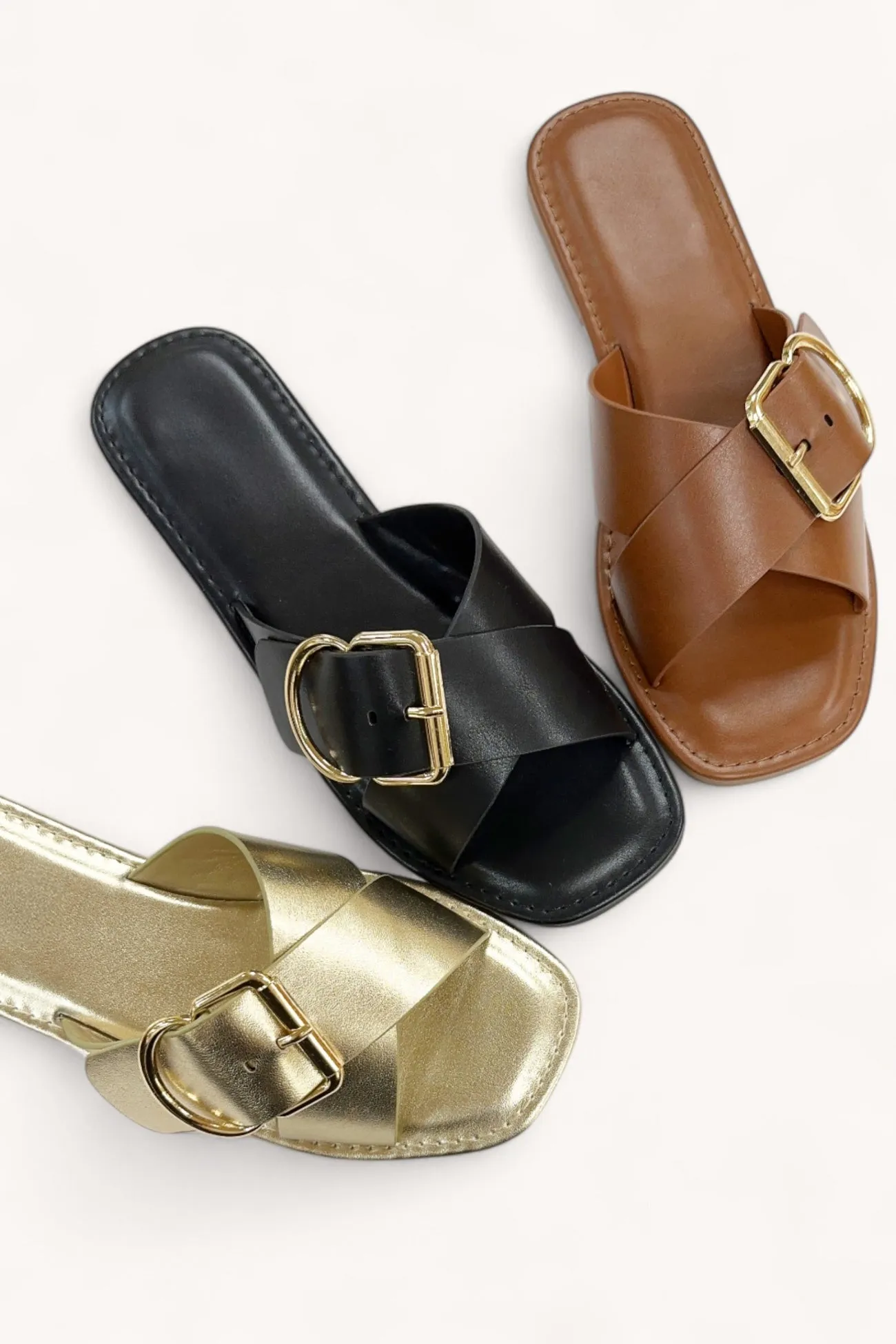 EDITTA sold by CCOCCI