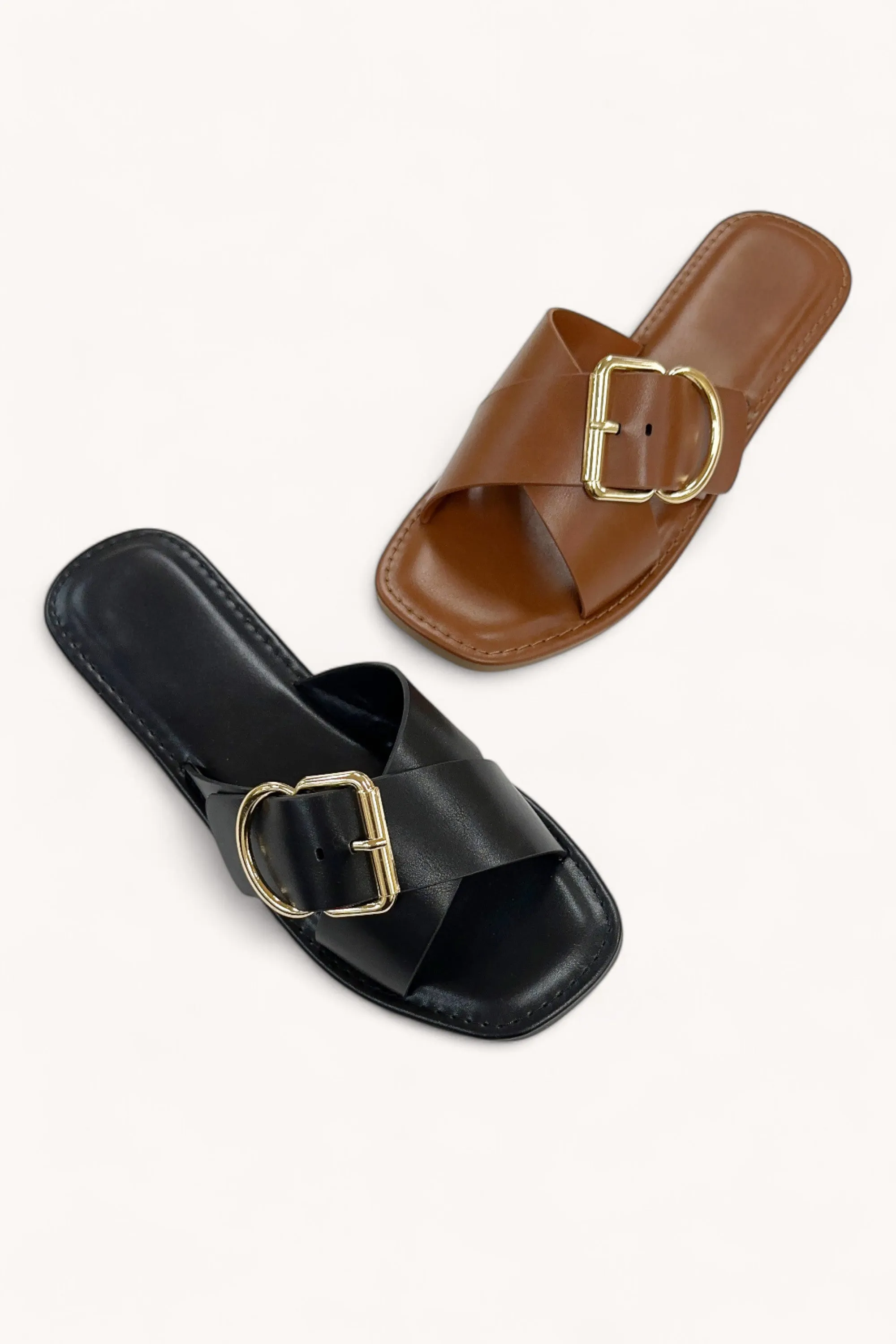 EDITTA sold by CCOCCI product image thumbnail 2