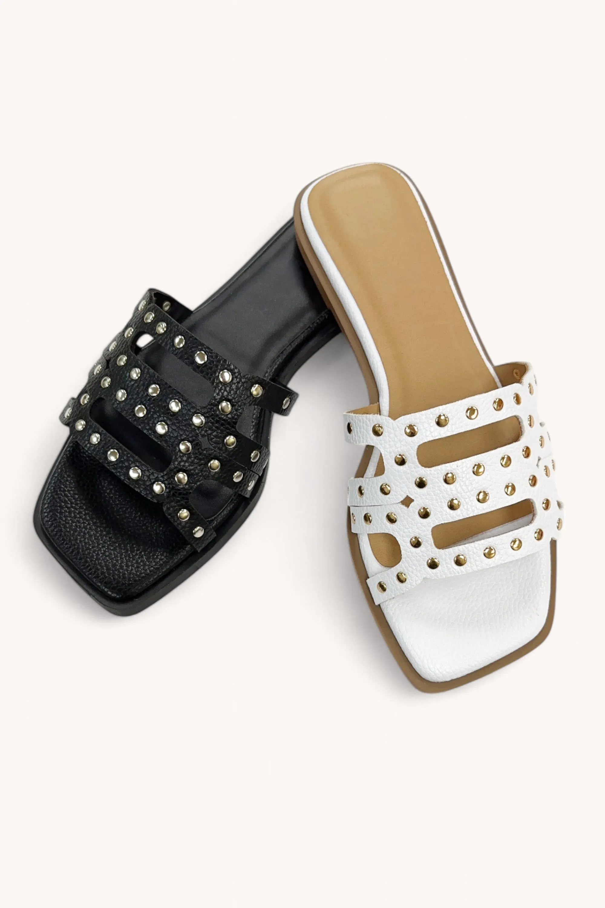 TREND sold by CCOCCI