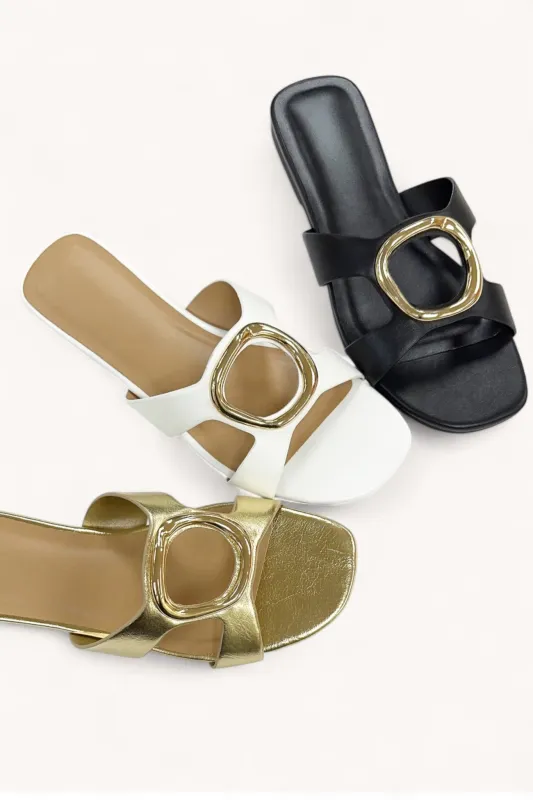 ABOUT sold by CCOCCI