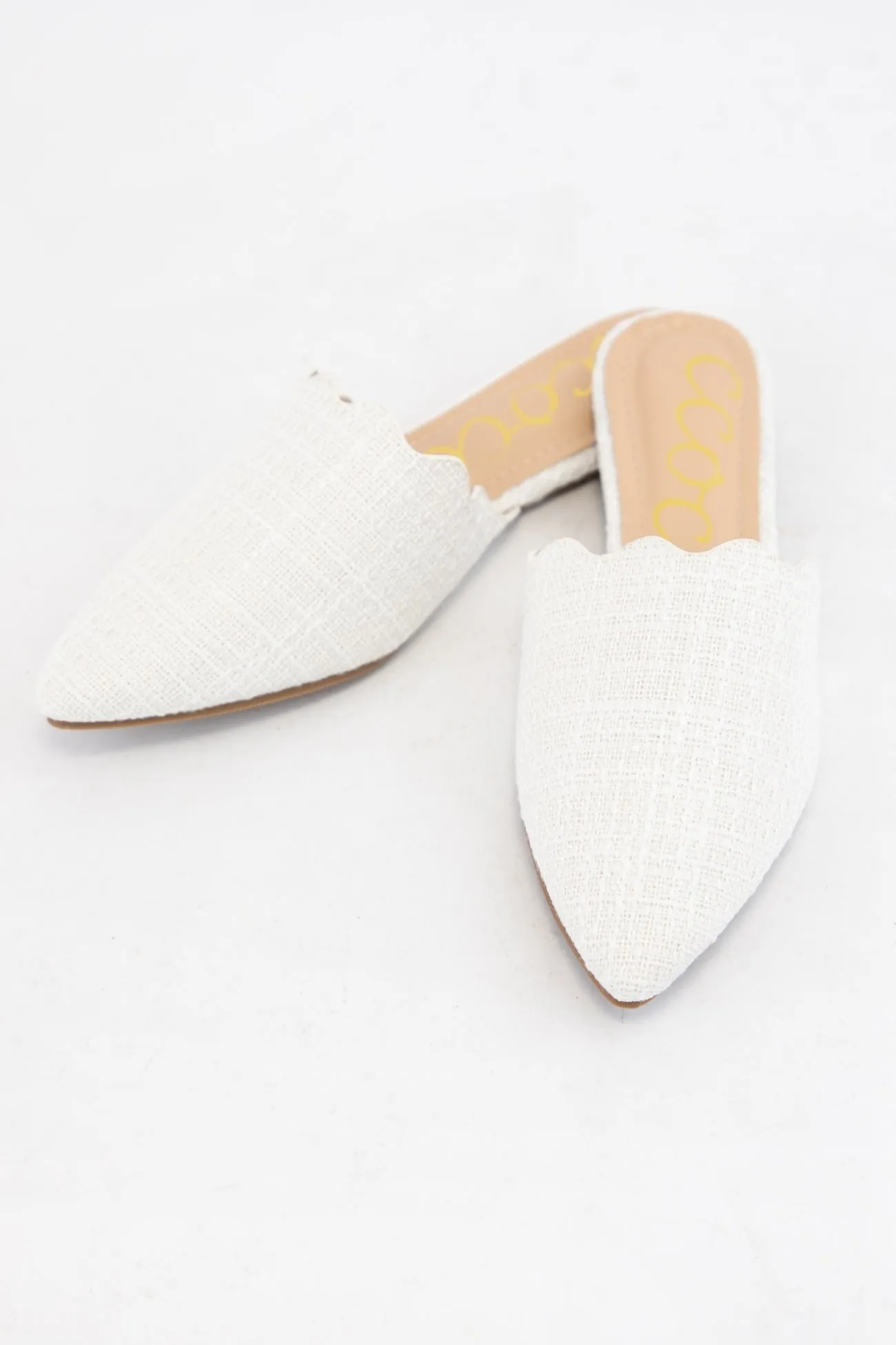 DANDELION_WT sold by CCOCCI product image thumbnail 4