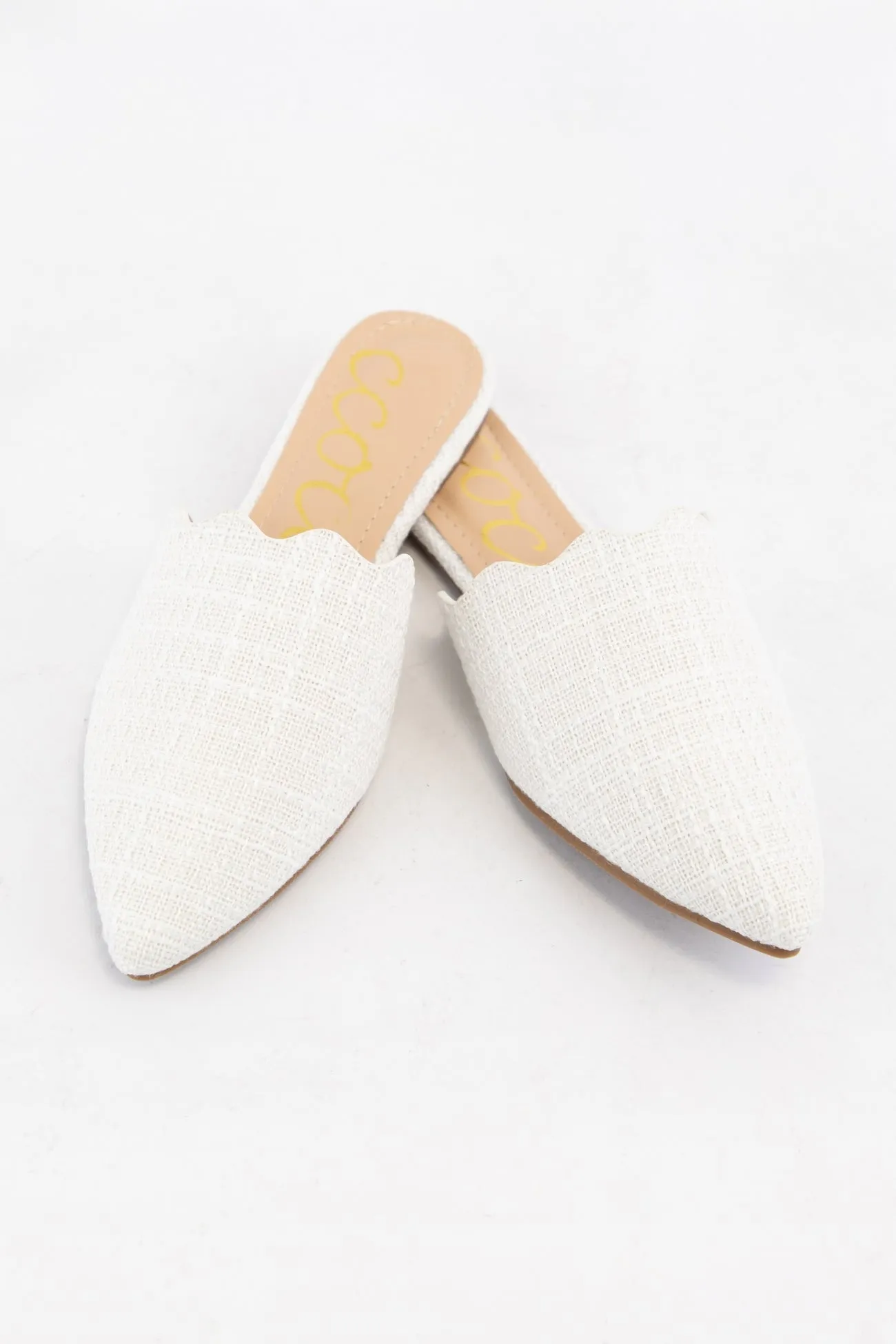 DANDELION_WT sold by CCOCCI product image thumbnail 2