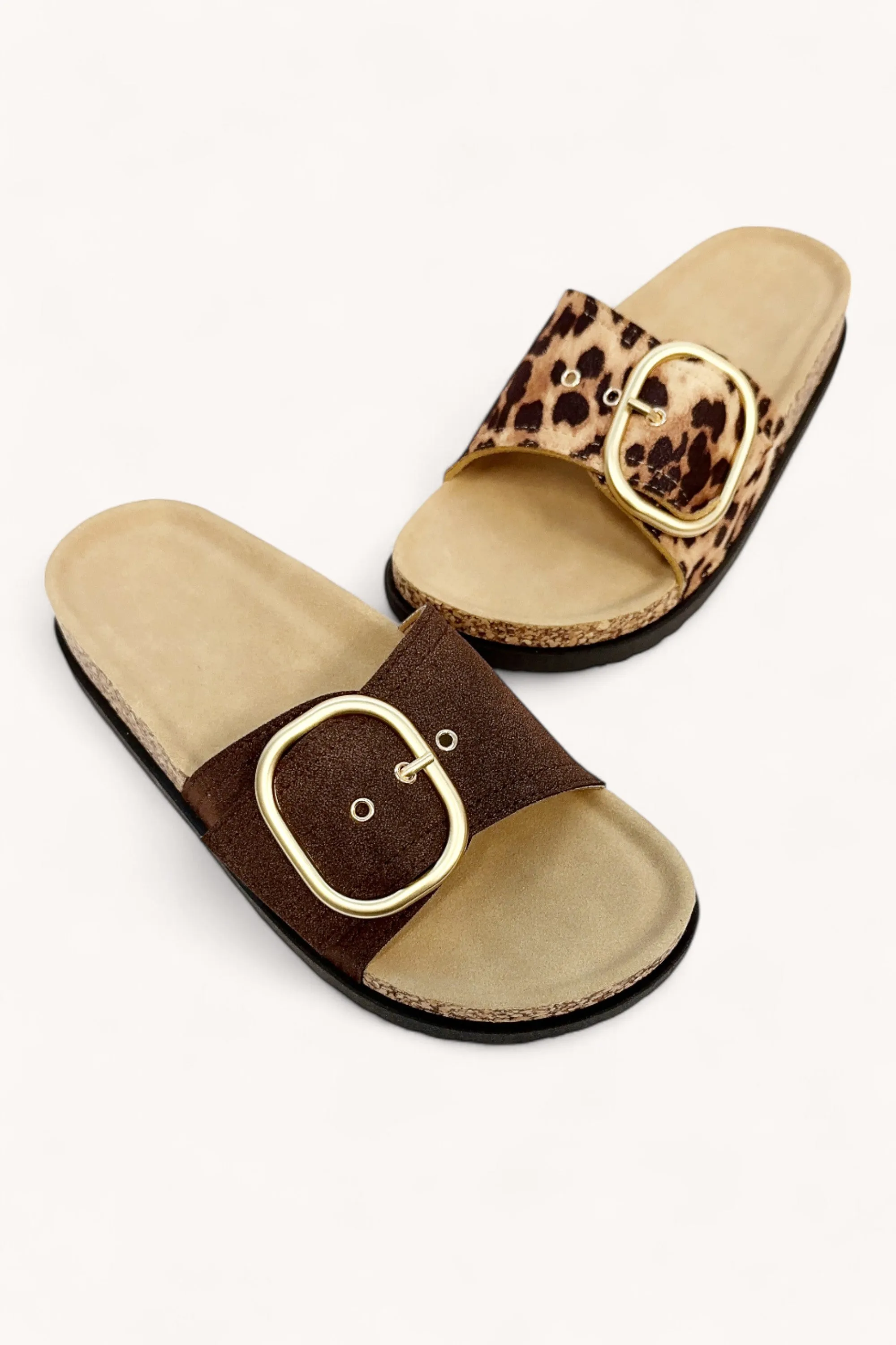 ASH-64 sold by CCOCCI product image thumbnail 3