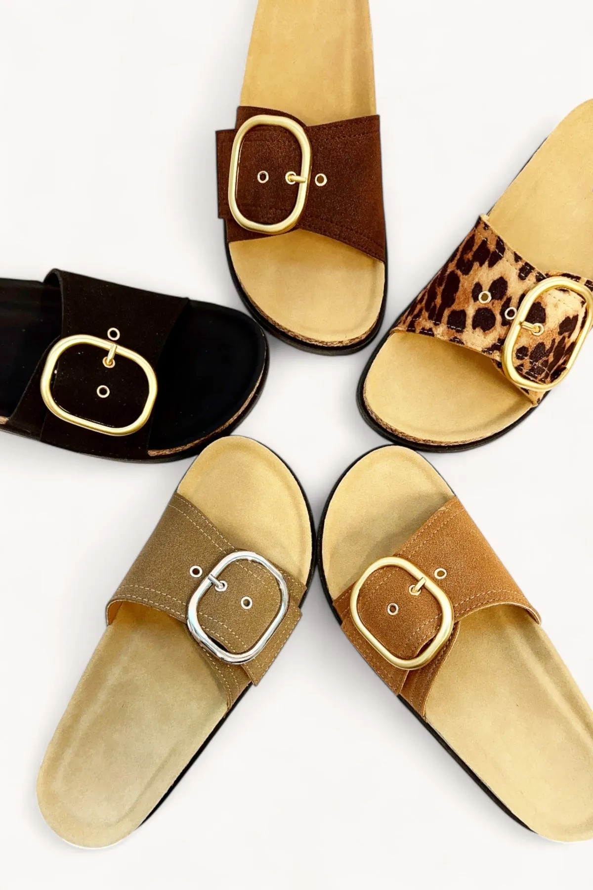 ASH-64 sold by CCOCCI