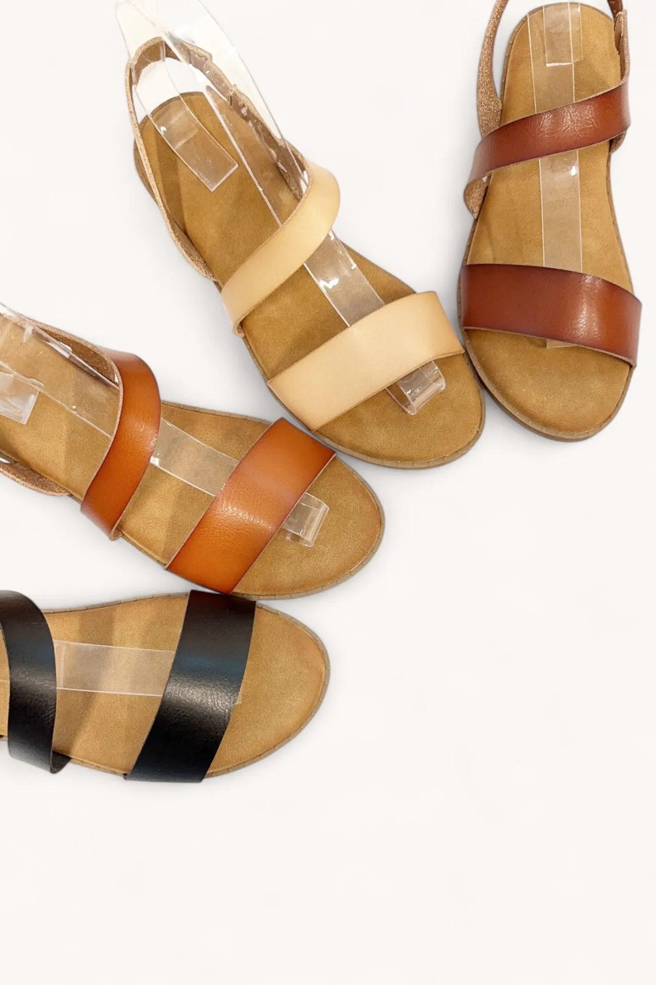 LEISURE-16 sold by CCOCCI