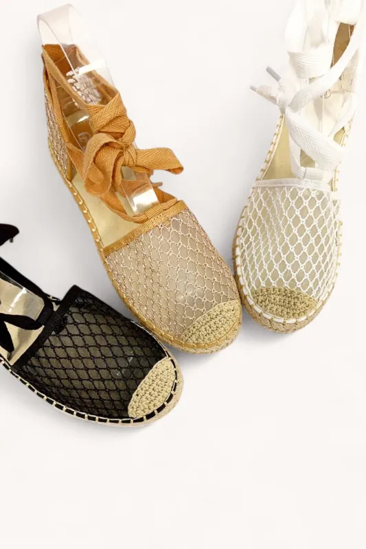 EXPO-26 sold by CCOCCI