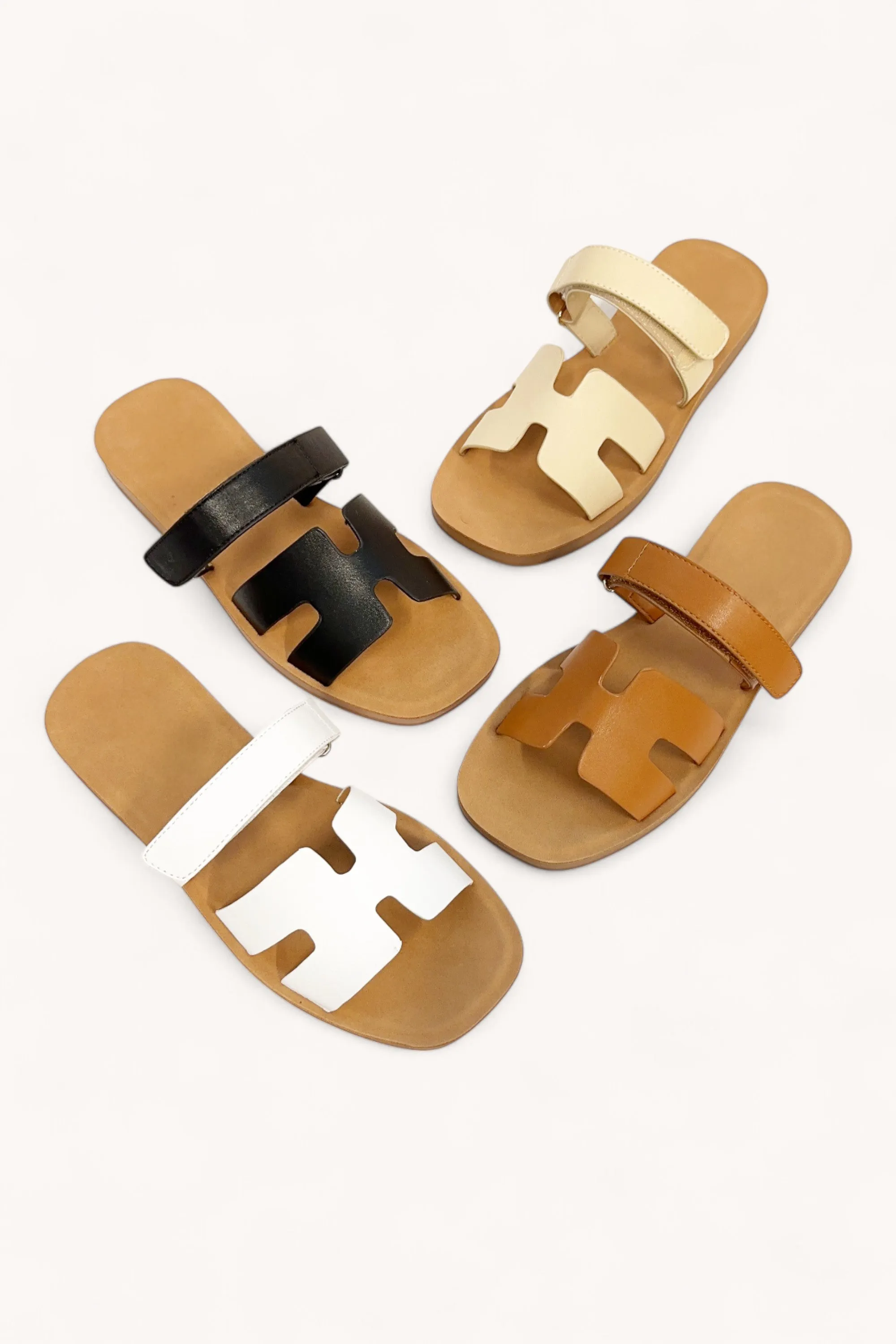 BRAND-28 sold by CCOCCI