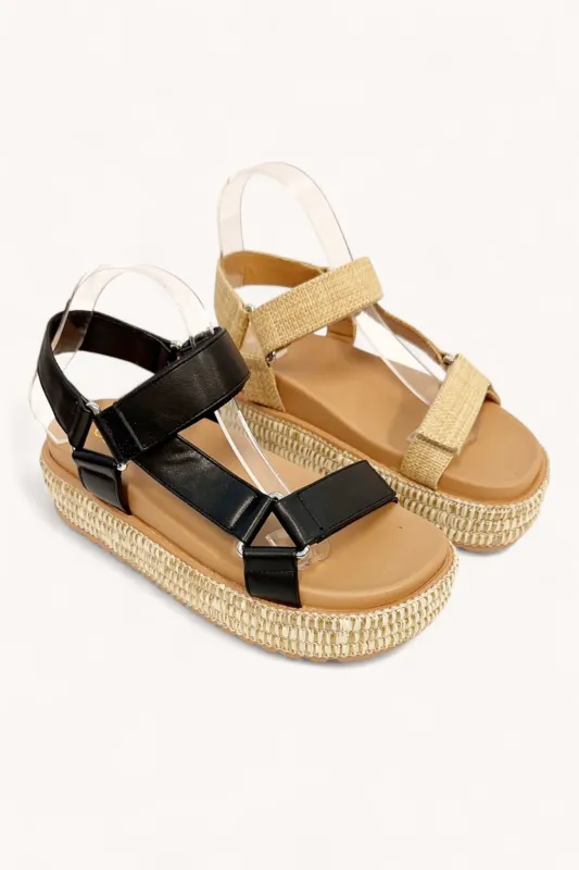 BRAINY-02 sold by CCOCCI