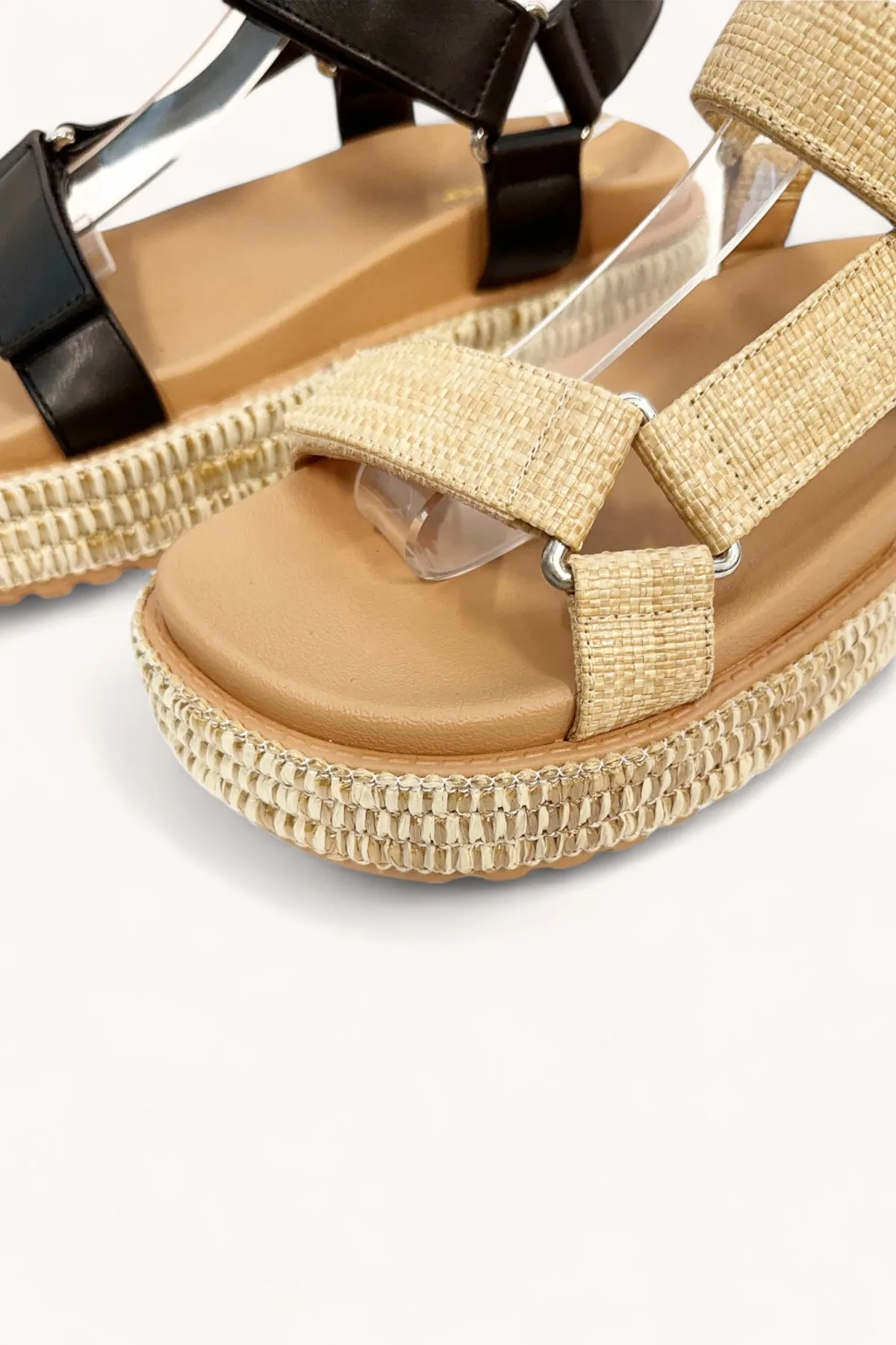 BRAINY-02 sold by CCOCCI product image thumbnail 3