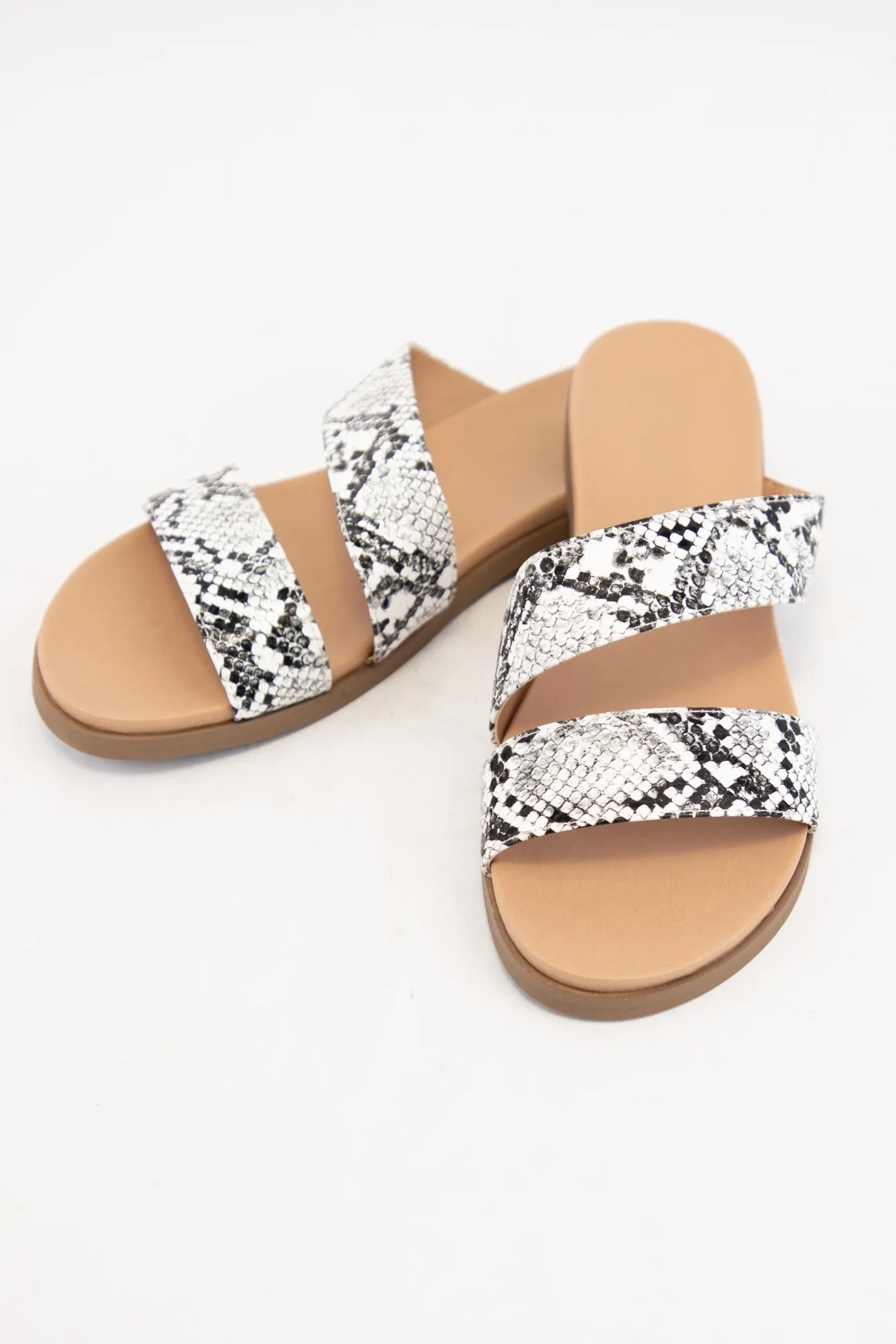 EMBER-2 sold by CCOCCI