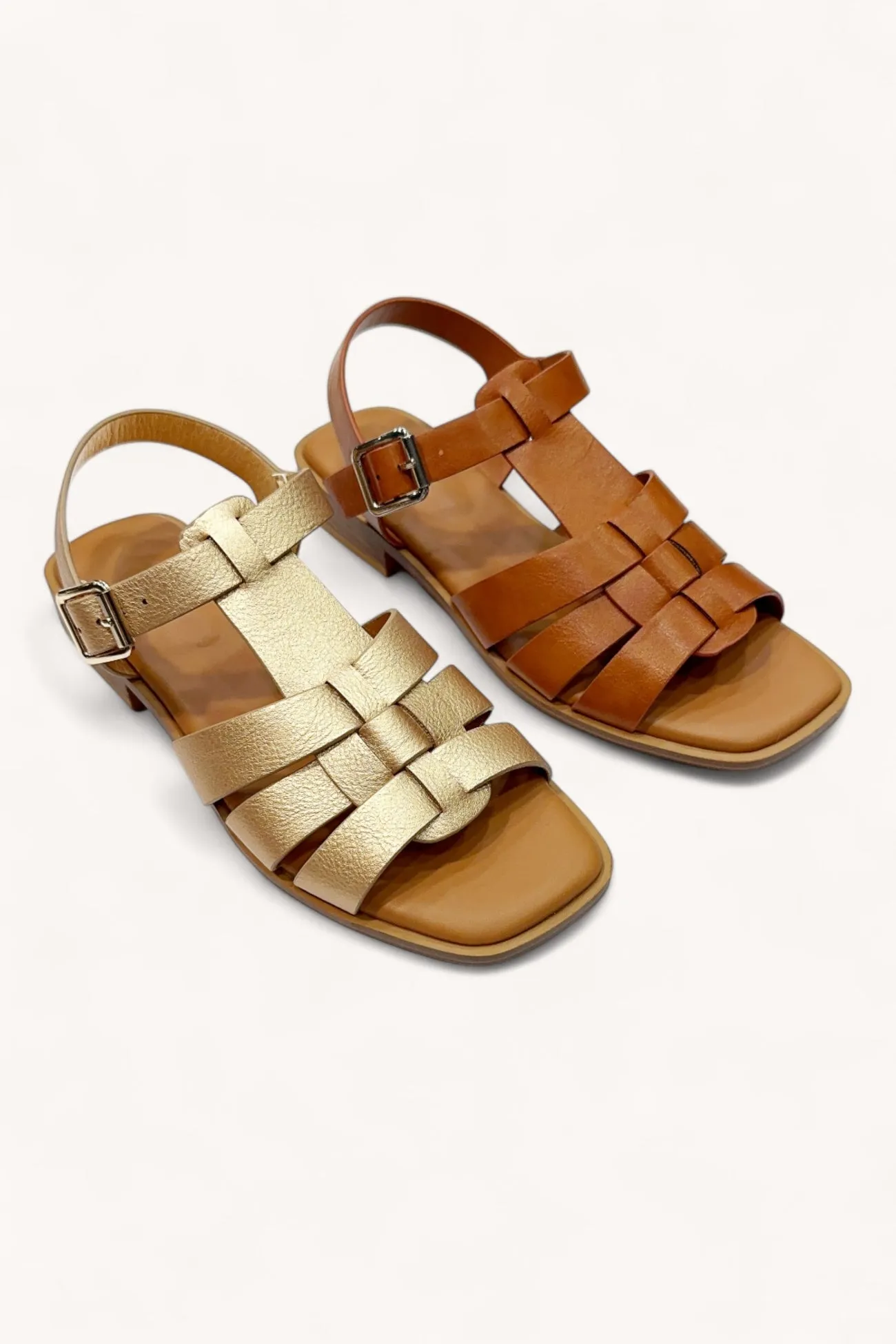 STEVIE-10 sold by CCOCCI product image thumbnail 2