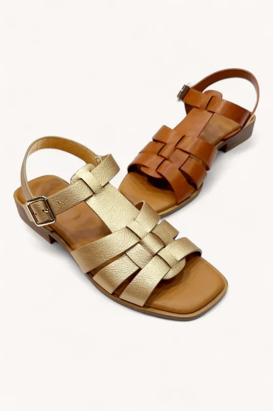 STEVIE-10 made by CCOCCI