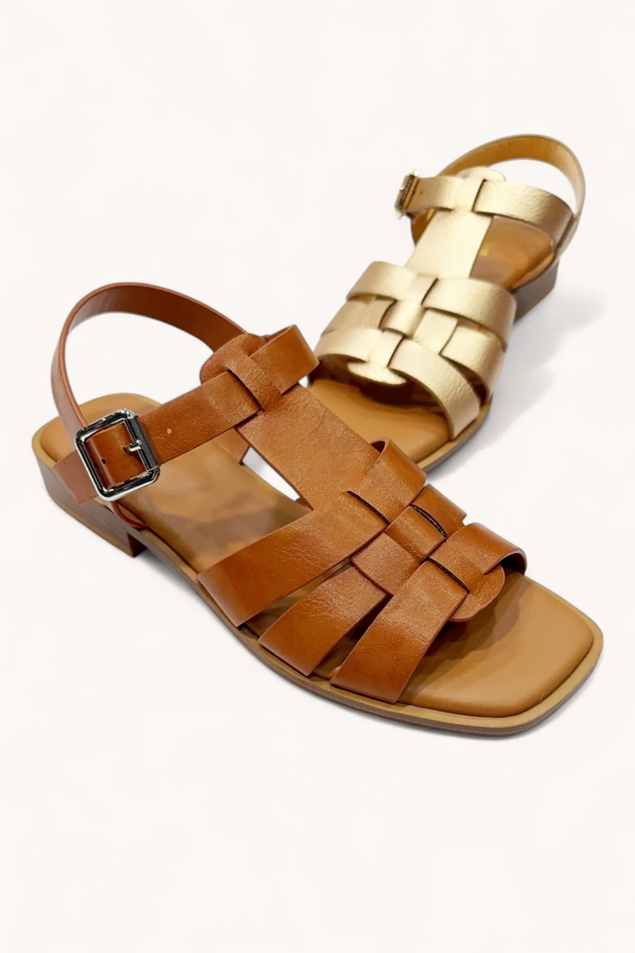 STEVIE-10 sold by CCOCCI product image thumbnail 3