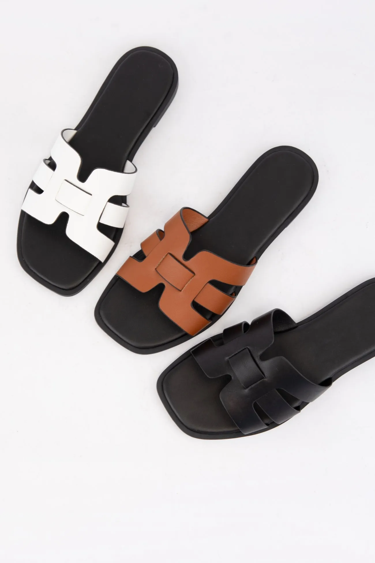 BELIZE-19 sold by CCOCCI