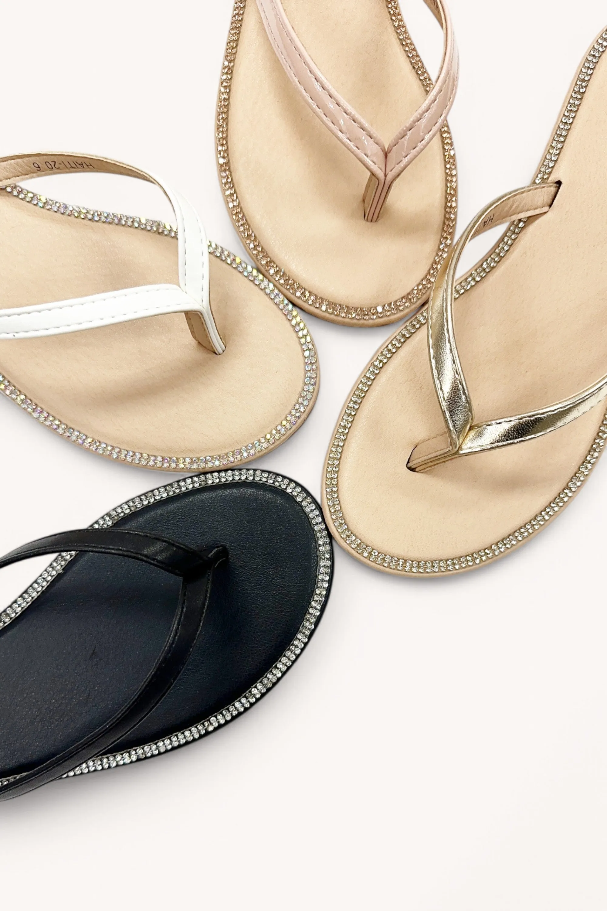 HAITI-20 sold by CCOCCI