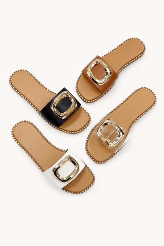 CLEO-18 sold by CCOCCI