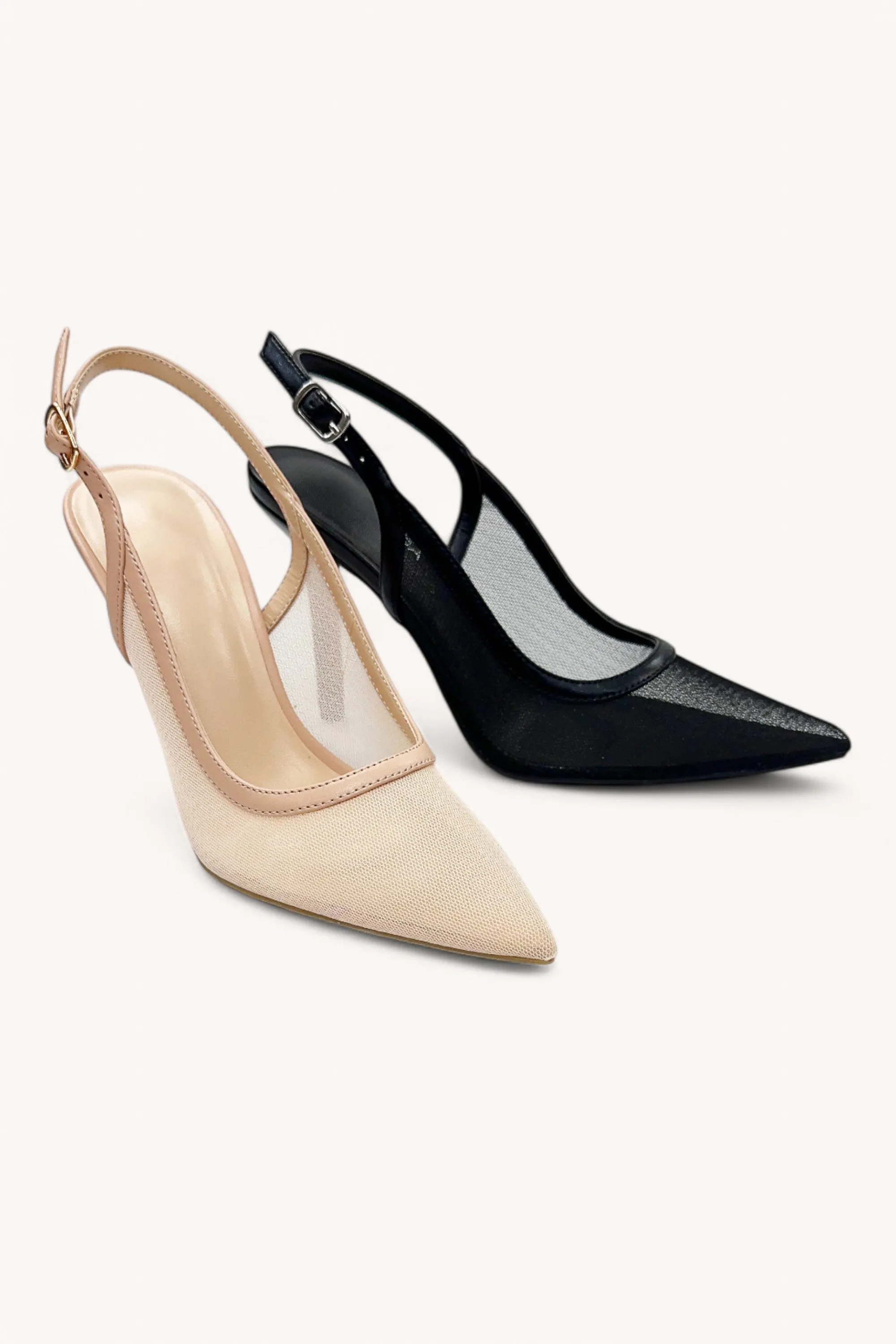 CALISTA-50 sold by CCOCCI