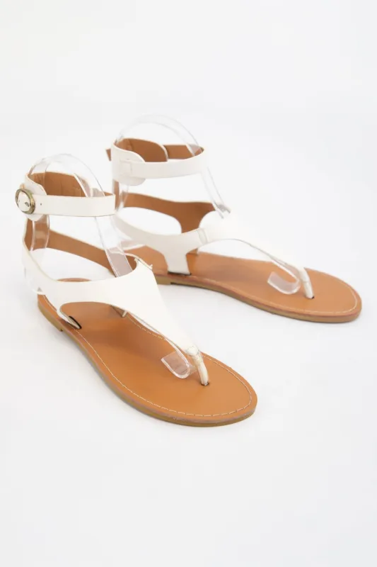 CANOA sold by CCOCCI