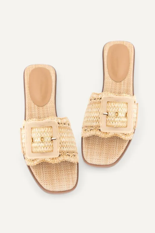 NAYAN sold by CCOCCI