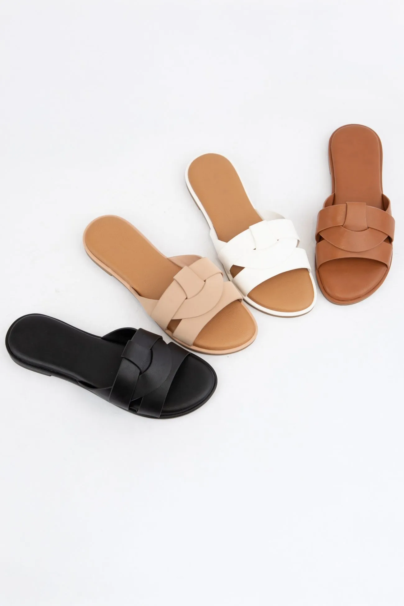 DINA-2 sold by CCOCCI product image thumbnail 4