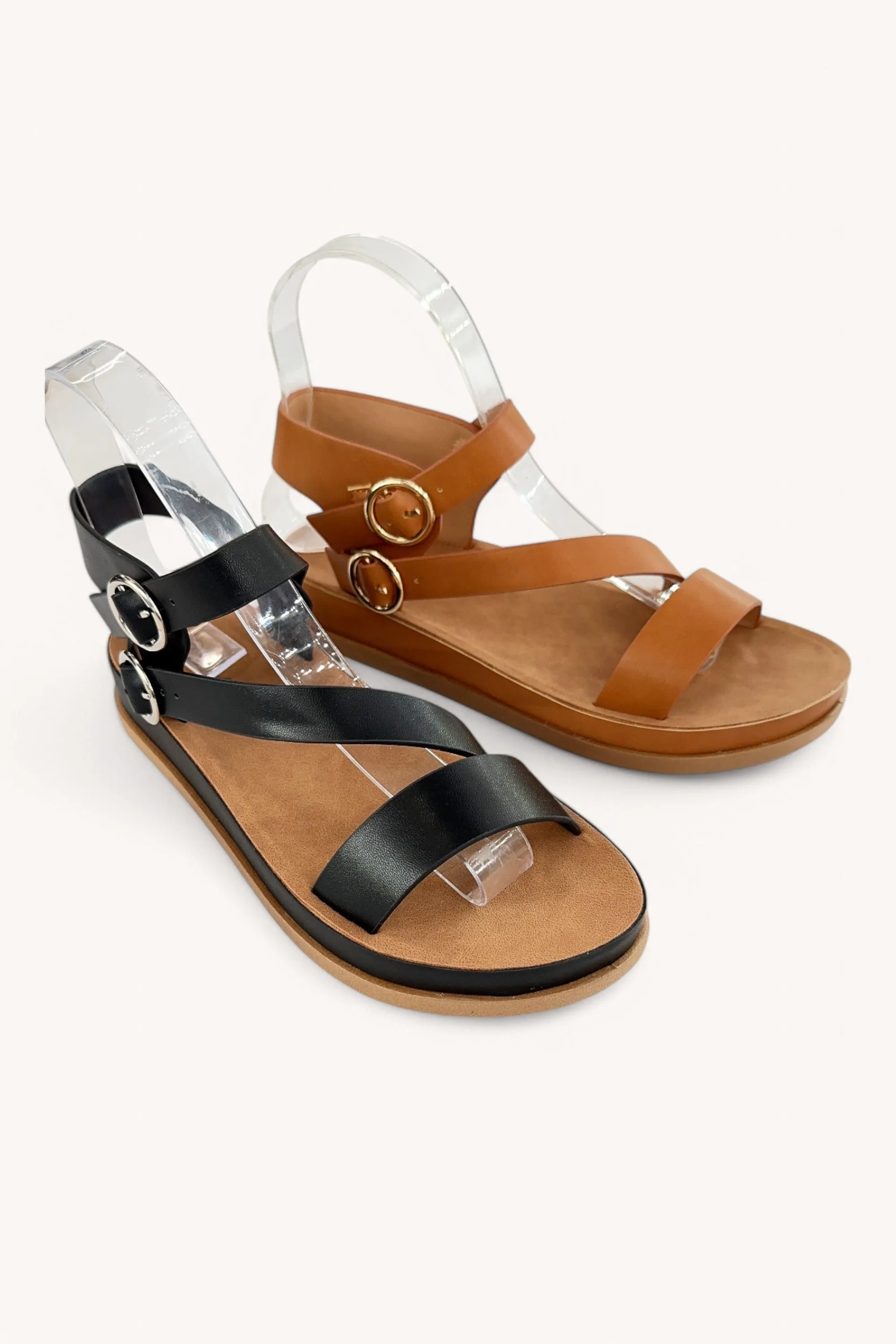 RAYNA-12 sold by CCOCCI product image thumbnail 2