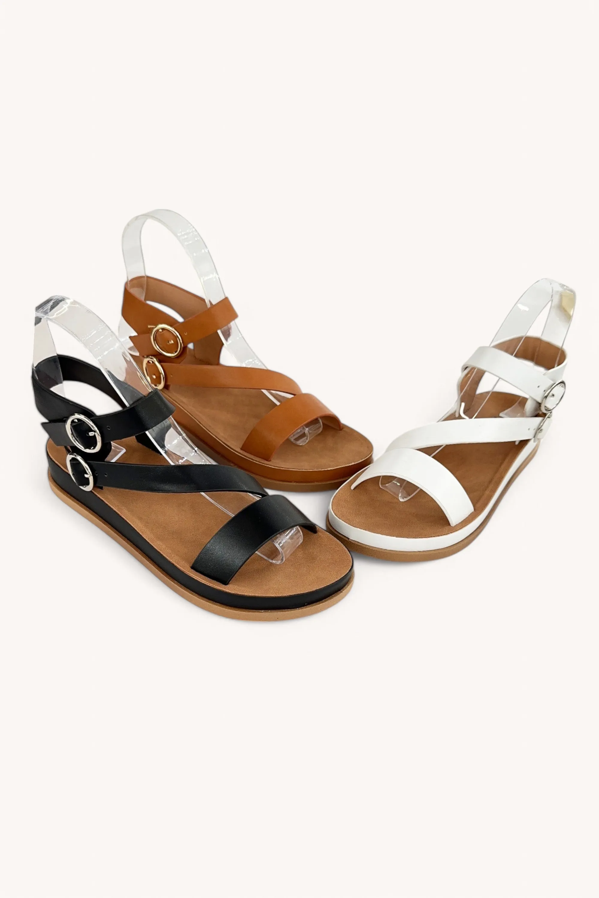 RAYNA-12 sold by CCOCCI