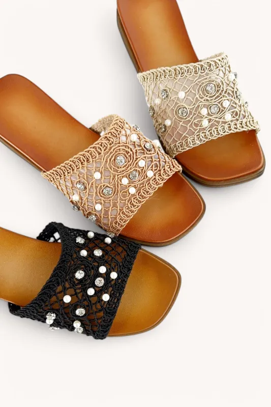 PROFORMA-3 sold by CCOCCI