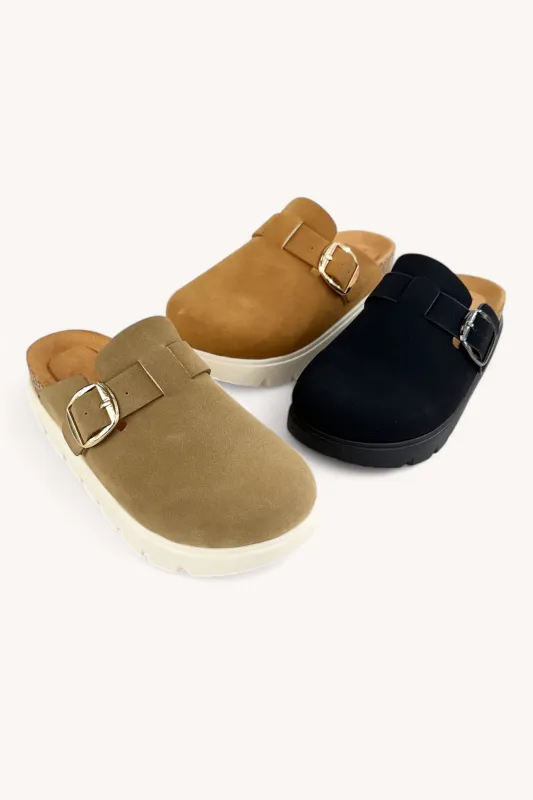 OAKS-33 sold by CCOCCI