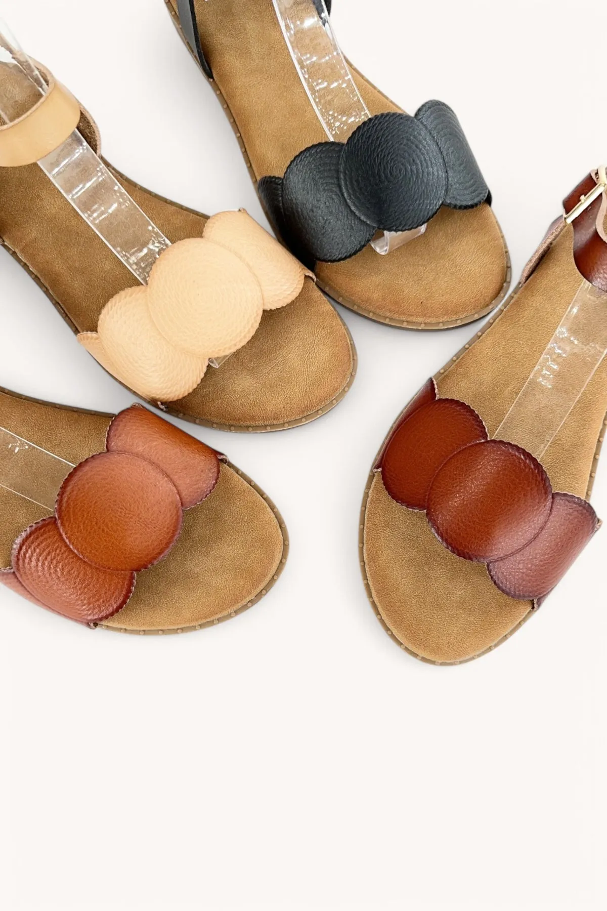 LEASURE-13 sold by CCOCCI