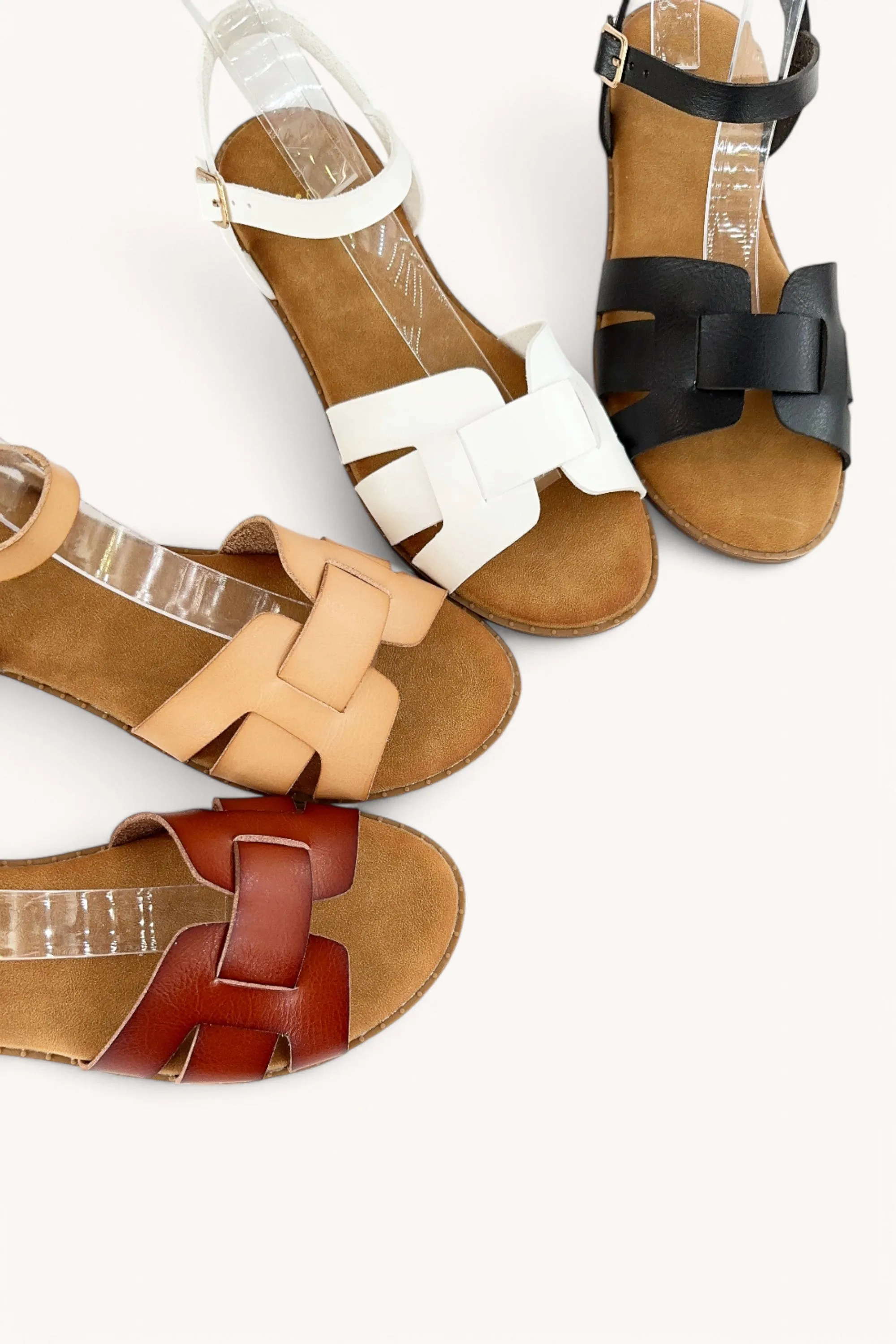 LEISURE-12 sold by CCOCCI