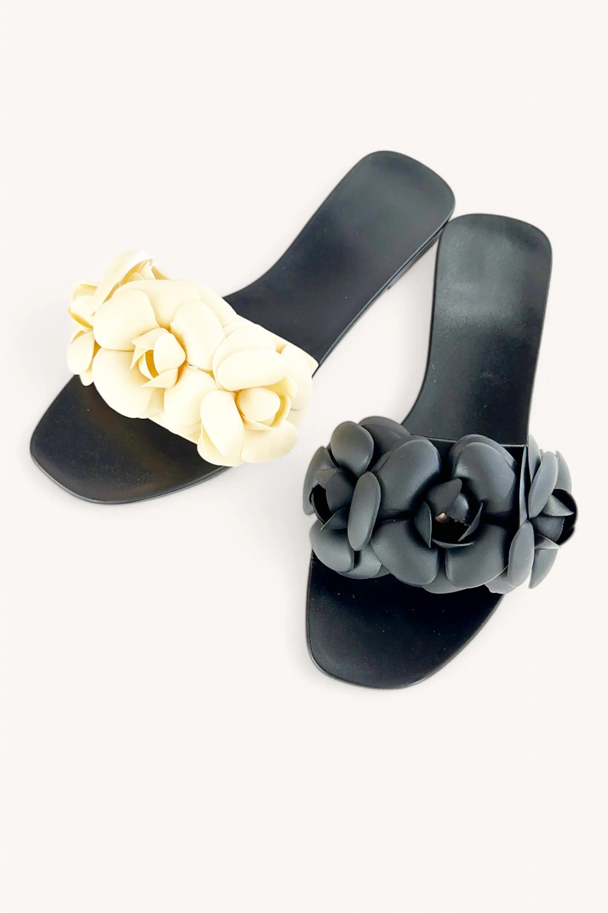 JENNI-33 sold by CCOCCI product image thumbnail 5